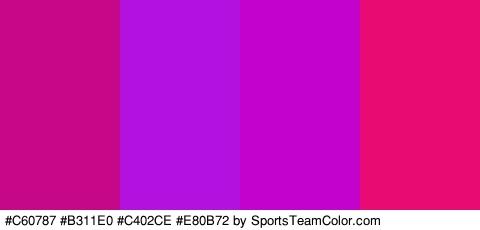 #C60787 #B311E0 #C402CE #E80B72 Colors