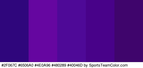 #2F067C #6506A0 #4E0A96 #480289 #40046D Colors