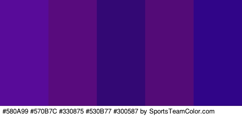 #580A99 #570B7C #330875 #530B77 #300587 Colors