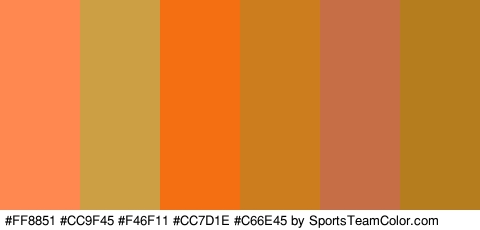 #FF8851 #CC9F45 #F46F11 #CC7D1E #C66E45 #B57D1E Colors