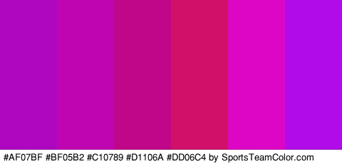 #AF07BF #BF05B2 #C10789 #D1106A #DD06C4 #B00BE8 Colors