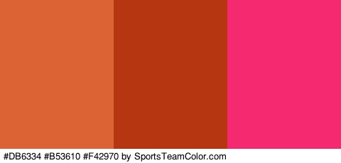 #DB6334 #B53610 #F42970 Colors