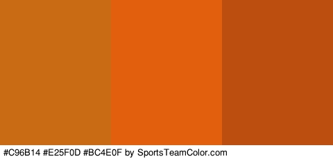 #C96B14 #E25F0D #BC4E0F Colors