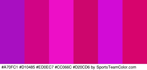 #A70FC1 #D10485 #ED0EC7 #CC066C #D20CD6 #D8046E Colors