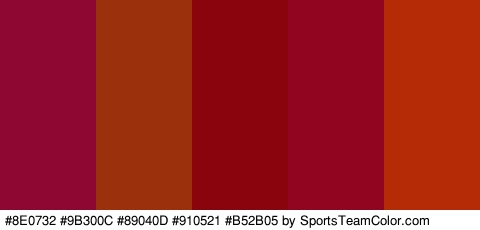 #8E0732 #9B300C #89040D #910521 #B52B05 Colors