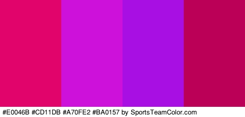 #E0046B #CD11DB #A70FE2 #BA0157 Colors