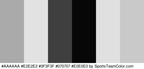 #AAAAAA #E2E2E2 #3F3F3F #070707 #E0E0E0 #C9C9C9 Colors