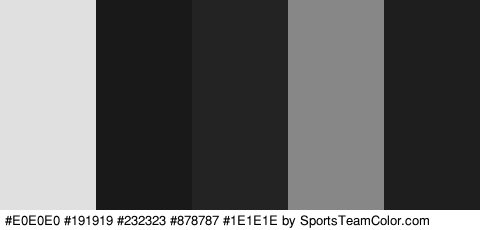 #E0E0E0 #191919 #232323 #878787 #1E1E1E Colors