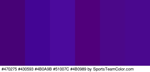 #470275 #430593 #4B0A9B #51007C #4B0989 #49088E Colors