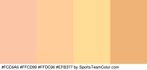 #FCC6A6 #FFCD99 #FFDC96 #EFB377 Colors