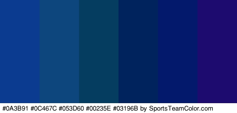 #0A3B91 #0C467C #053D60 #00235E #03196B #1D0B70 Colors