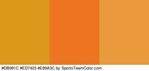 #DB981C #ED7423 #E89A3C Colors