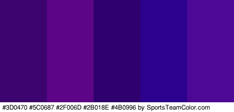 #3D0470 #5C0687 #2F006D #2B018E #4B0996 Colors