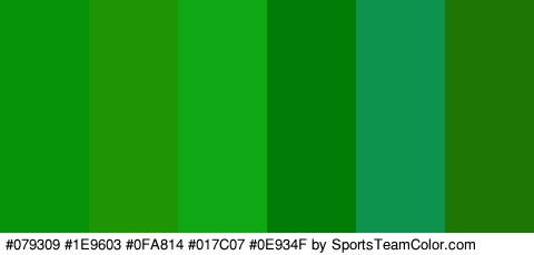 #079309 #1E9603 #0FA814 #017C07 #0E934F #1E7705 Colors