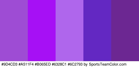 #9D4CD3 #A511F4 #B065ED #6328C1 #6C2793 Colors