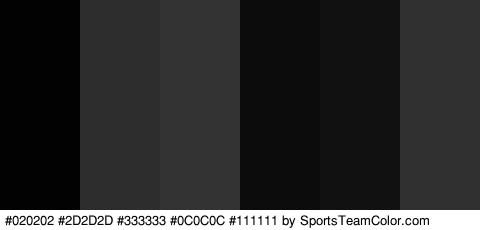 #020202 #2D2D2D #333333 #0C0C0C #111111 #303030 Colors