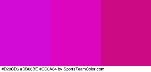 #D20CD6 #DB06BE #CC0A84 Colors