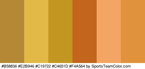 #B58836 #E2B946 #C19722 #C4651D #F4A564 #E0933C Colors