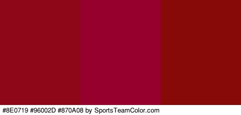 #8E0719 #96002D #870A08 Colors