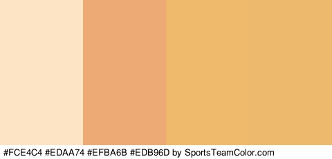 #FCE4C4 #EDAA74 #EFBA6B #EDB96D Colors