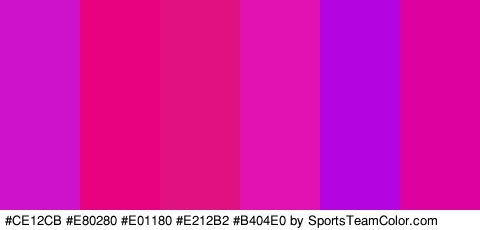 #CE12CB #E80280 #E01180 #E212B2 #B404E0 #DD029F Colors