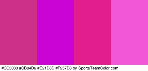 #CC3088 #CB04D6 #E21D8D #F257D8 Colors