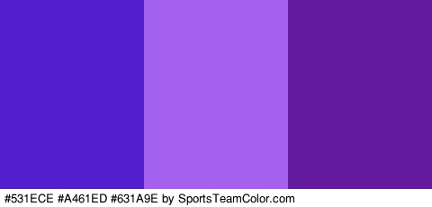 #531ECE #A461ED #631A9E Colors