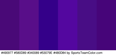 #490977 #580D89 #340089 #53079E #480D84 #46067A Colors