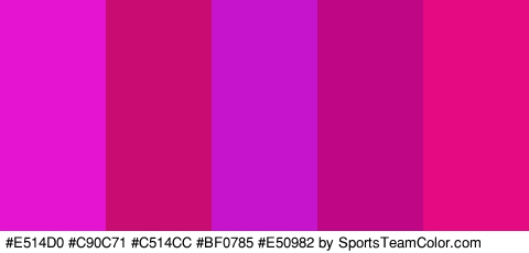 #E514D0 #C90C71 #C514CC #BF0785 #E50982 Colors