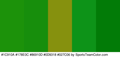 #1C910A #178E0C #86910D #0D9318 #027C06 Colors