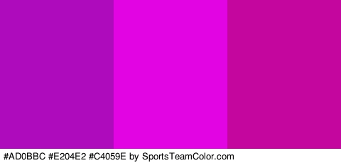 #AD0BBC #E204E2 #C4059E Colors