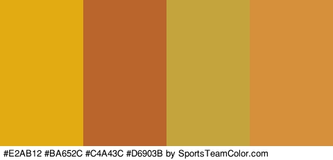 #E2AB12 #BA652C #C4A43C #D6903B Colors