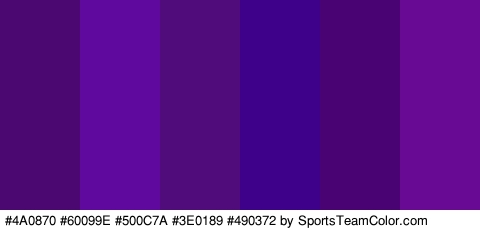 #4A0870 #60099E #500C7A #3E0189 #490372 #680A93 Colors