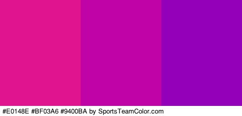 #E0148E #BF03A6 #9400BA Colors