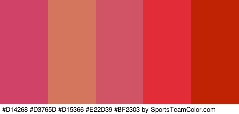 #D14268 #D3765D #D15366 #E22D39 #BF2303 Colors