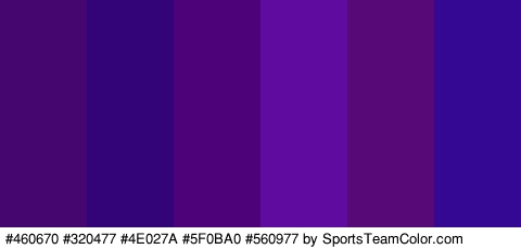 #460670 #320477 #4E027A #5F0BA0 #560977 #340893 Colors