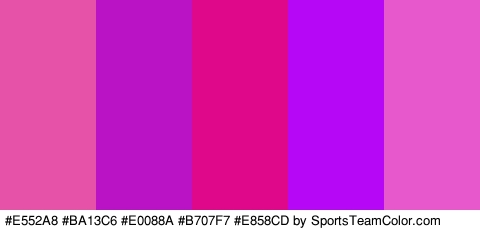 #E552A8 #BA13C6 #E0088A #B707F7 #E858CD Colors