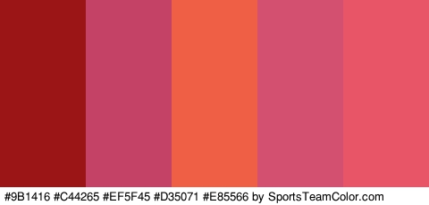 #9B1416 #C44265 #EF5F45 #D35071 #E85566 Colors