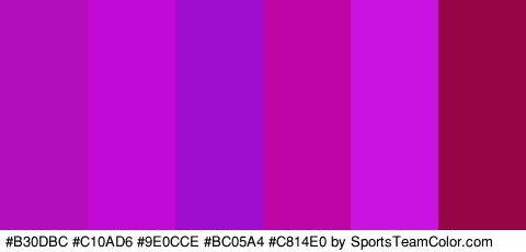 #B30DBC #C10AD6 #9E0CCE #BC05A4 #C814E0 #960644 Colors