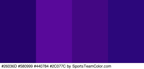 #26036D #580999 #440784 #2C077C Colors