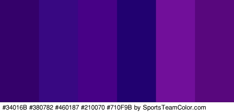 #34016B #380782 #460187 #210070 #710F9B #59077C Colors