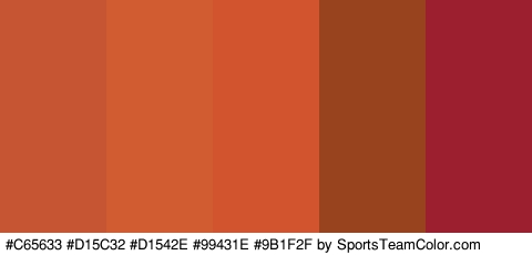 #C65633 #D15C32 #D1542E #99431E #9B1F2F Colors