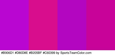 #B906D1 #D80D8E #B205BF #C60399 Colors