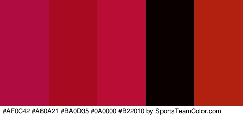 #AF0C42 #A80A21 #BA0D35 #0A0000 #B22010 Colors