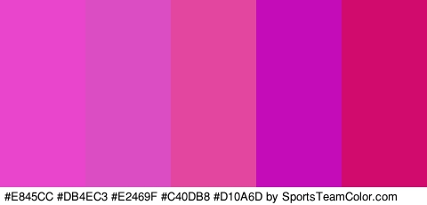 #E845CC #DB4EC3 #E2469F #C40DB8 #D10A6D Colors