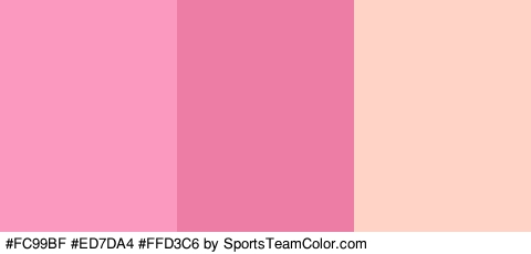 #FC99BF #ED7DA4 #FFD3C6 Colors