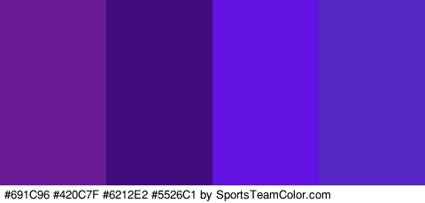 #691C96 #420C7F #6212E2 #5526C1 Colors