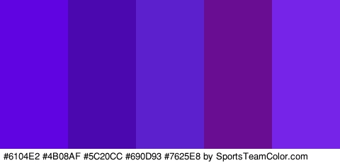 #6104E2 #4B08AF #5C20CC #690D93 #7625E8 Colors