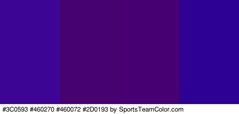 #3C0593 #460270 #460072 #2D0193 Colors