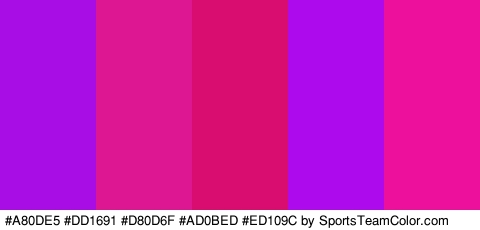 #A80DE5 #DD1691 #D80D6F #AD0BED #ED109C Colors